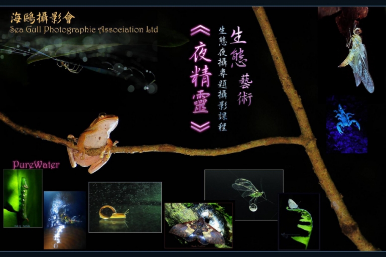 生態夜攝專題攝影課程(名額20人)